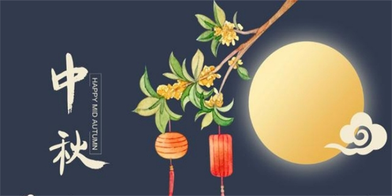 图片8.jpg